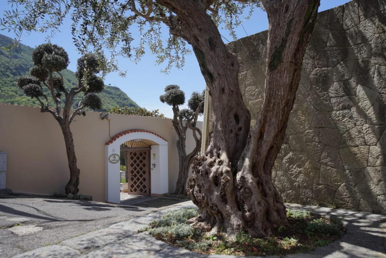 Villa Antonietta 伊斯基亚 外观 照片