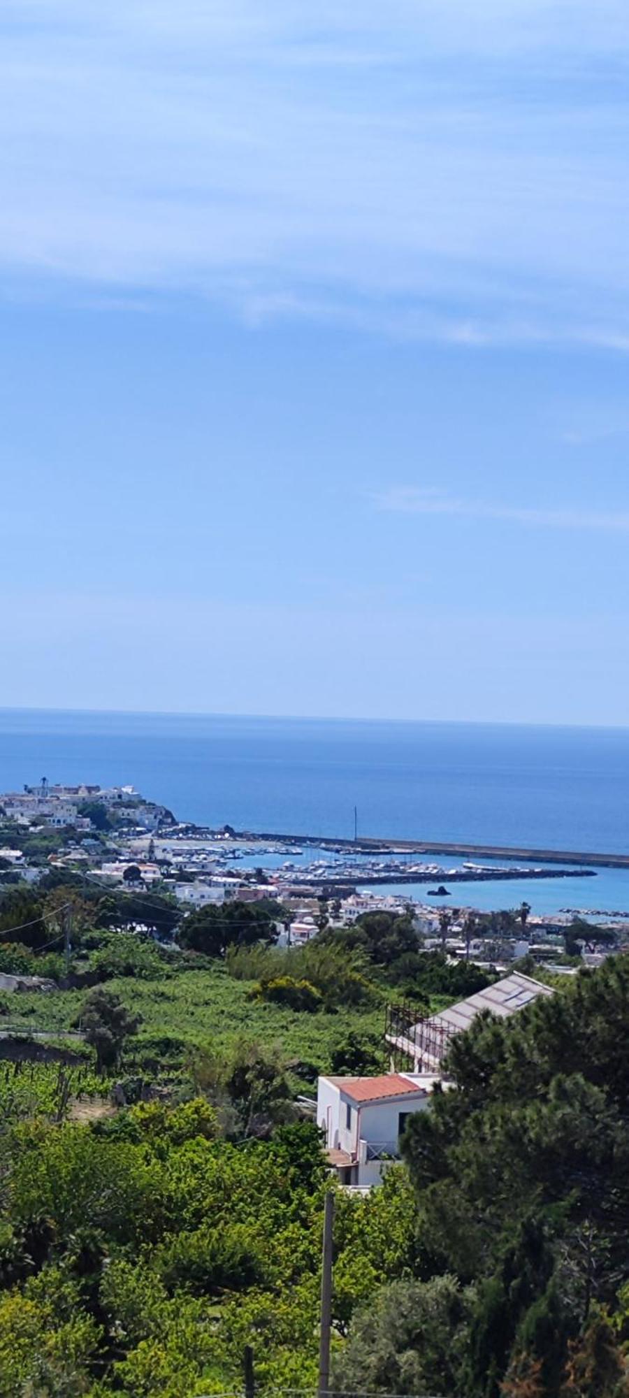 Villa Antonietta 伊斯基亚 外观 照片