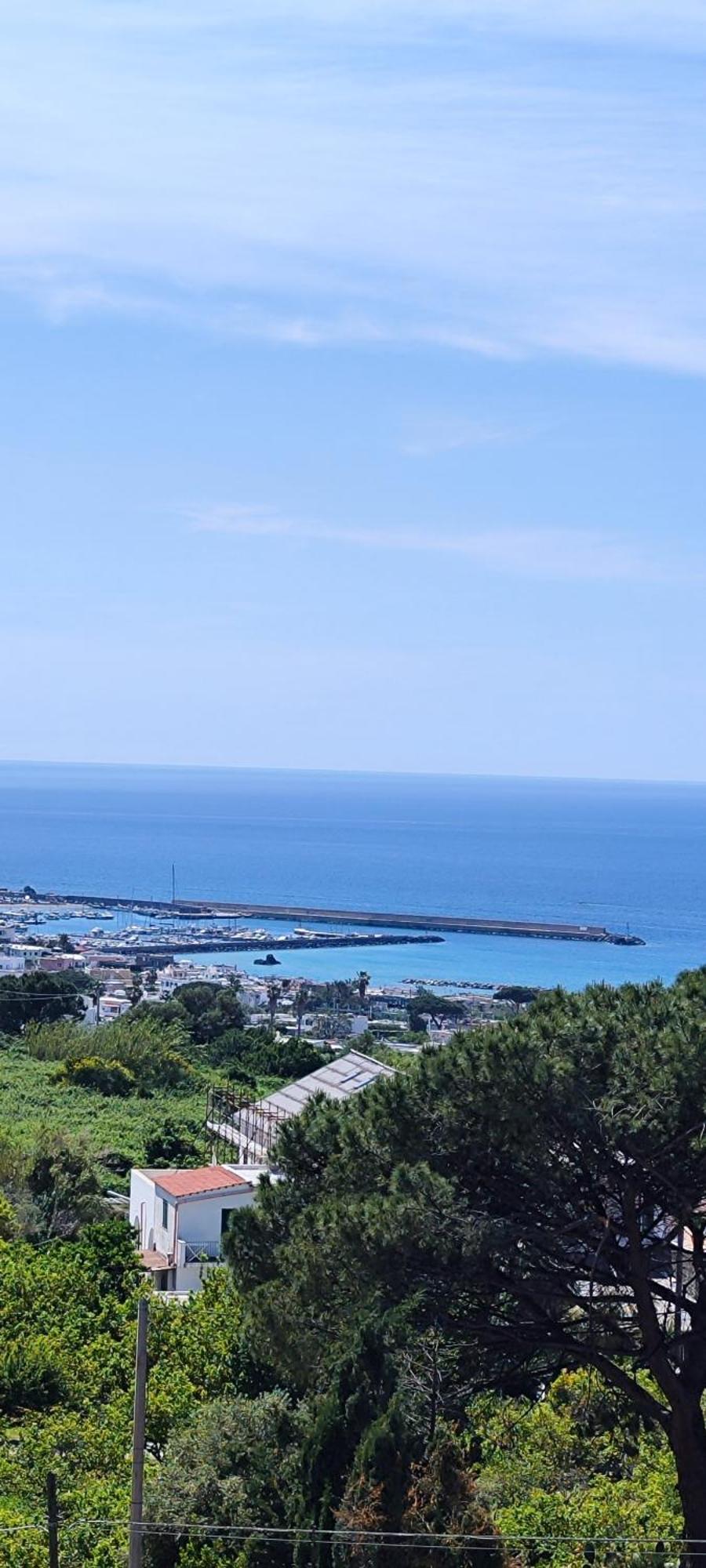 Villa Antonietta 伊斯基亚 外观 照片